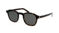 Saint Laurent Classic SL 549 SLIM 002 47-23 Havana