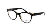 Prada PR 05WV 389-1O1 53-19 Tortoise