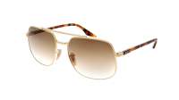 Ray-ban  RB3699 001/51 59-18 Arista