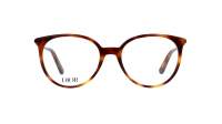 DIOR MINI CD O B1I 2600 51-17 Havane