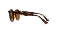 Ray-Ban RB2180 710/73 49-21 Tortoise Medium