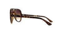 Ray-Ban Cats 5000 Havana RB4125 710/51 59-13 Breit Gradient Gläser