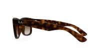 Ray-Ban Justin Tortoise RB4165 710/13 51-16 Medium Gradient