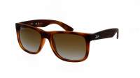 Ray-Ban P Justin Brun RB4165 865/T5 54-16 Large Polarisés Dégradés