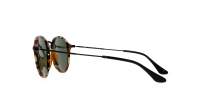 Ray-Ban Round Fleck Tortoise G15 RB2447 1157 49-21 Medium