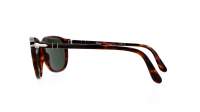 Persol PO3019S 24/31 55-18 Tortoise Large