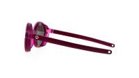 Julbo Walk J563 20 26 38-14 Purple