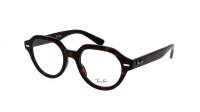 Ray-Ban Gina RX7214 RB7214 2012 49-20 Havana