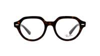 Ray-Ban Gina RX7214 RB7214 2012 49-20 Havana