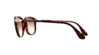 Persol PO1935S 24/51 53-19 Havana