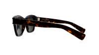 Saint Laurent New wave SL 592 002 47-23 Tortoise