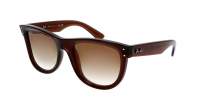 Ray-Ban Wayfarer Reverse RBR0502S 6709/CB 53-20 Transparent Brown