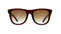 Ray-Ban Wayfarer Reverse RBR0502S 6709/CB 53-20 Transparent Brown