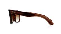 Ray-Ban Wayfarer Reverse RBR0502S 6709/CB 53-20 Transparent Brown