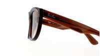 Ray-Ban Wayfarer Reverse RBR0502S 6709/CB 53-20 Transparent Brown