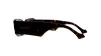 Gucci Lettering GG1426S 002 54-19 Havana