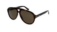 Gucci Lettering GG1443S 003 58-14 Havana Brown