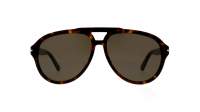 Gucci Lettering GG1443S 003 58-14 Havana Brown