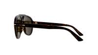 Gucci Lettering GG1443S 003 58-14 Havana Brown