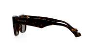 Gucci Lettering GG1427S 003 53-21 Havana Brown