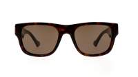 Gucci Lettering GG1427S 003 53-21 Havana Brown