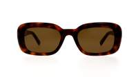 Saint Laurent Monogram SL M130 004 53-21 Havana