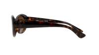 Versace La medusa VE4455U 108/73 53-19 Havana