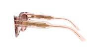 DIOR Signature DIORSIGNATURE B7I 40F1 52-18 Transparent