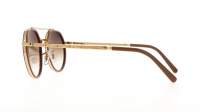 Ray-Ban RB3765 001/51 53-22 Arista