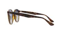 Ray-Ban RB2180 710/4L 51-21 Light havana