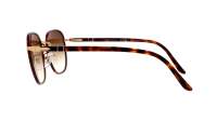 Persol PO1015SJ 1126/51 52-20 Gold and Havana