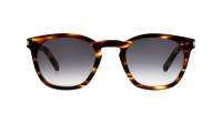 Saint Laurent Classic SL 28 045 49-23 Havana