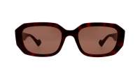 Gucci Gg logo GG1535S 002 54-20 Havana