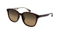 Maui Jim Ku'ikahi asian fit HS647-10 55-18 Écaille