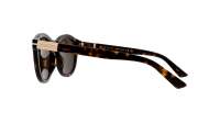 Gucci Web GG1501S 002 52-21 Tortoise