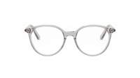 DIOR MINI CD O R5I 4500 50-17 Grey