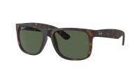 Ray-Ban Justin RB4165 865/9A 55-16 Rubber Havana