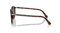 Persol PO3350S 24/57 53-20 Havana