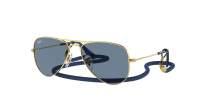 Ray-Ban Aviator RJ9506S 223/1U 52-14 Arista