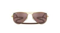 Ray-Ban Aviator RJ9506S 223/6G 52-14 Arista