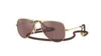 Ray-Ban Aviator RJ9506S 223/6G 52-14 Arista