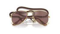 Ray-Ban Aviator RJ9506S 223/6G 52-14 Arista