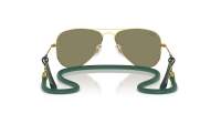 Ray-Ban Aviator RJ9506S 223/6R 52-14 Arista