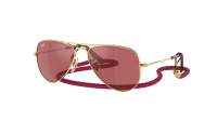 Ray-Ban Aviator RJ9506S 223/B5 52-14 Arista