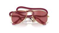 Ray-Ban Aviator RJ9506S 223/B5 52-14 Arista