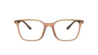 Emporio Armani EA3242U 6110 52-19 Shiny Transparent Brown