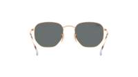 Ray-Ban Hexagonal RB3548N 001/R5 51-21 Arista