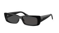 Ray-Ban Teru RB4425 6677/87 54-17 Noir