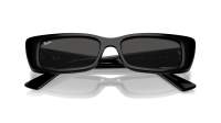 Ray-Ban Teru RB4425 6677/87 54-17 Noir