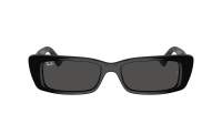 Ray-Ban Teru RB4425 6677/87 54-17 Noir